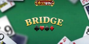 Ảnh đại diện - Bài Bridge là gì
