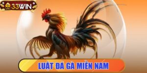 Ảnh đại diện - Luật đá gà miền nam